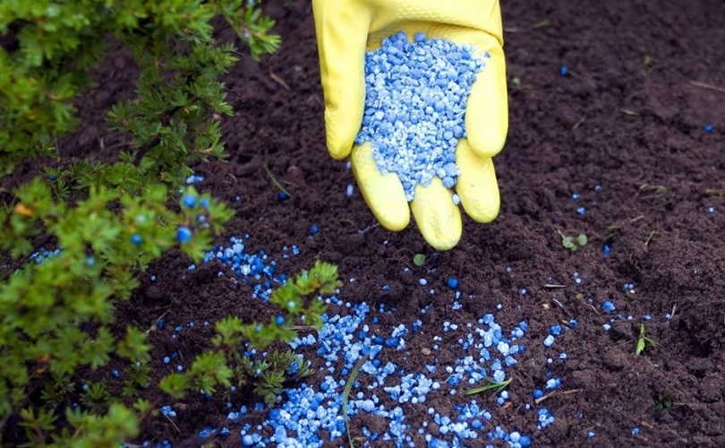 نامه رئیس موسسه تحقیقات خاک و آب به دیجی کالا مبنی بر عدم تبلیغ و فروش کالاهای کودی بدون شماره ثبت